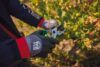 gants de manutention en environnements humides gants de manutention en environnements humides