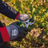 gants de manutention en environnements humides gants de manutention en environnements humides