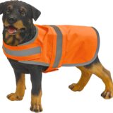 import placeholder for wwt ha 733 import placeholder for wwt ha 733