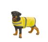 gilet réfléchissant pour chien gilet réfléchissant pour chien