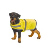 gilet réfléchissant pour chien gilet réfléchissant pour chien